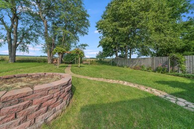Backyard 4