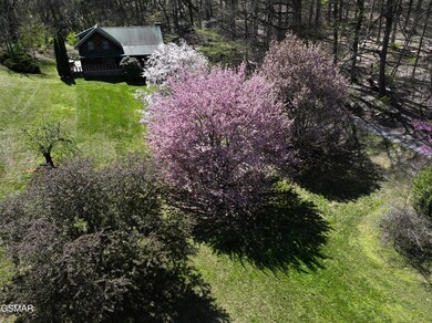 Front Yard Spring