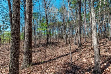 Lot 16 Country Hills Rd, Ellijay, GA 30540 - photo 6