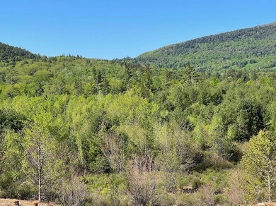 51-3 Depot Rd, Tamworth, NH 03886 - photo 3