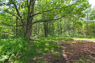 53 Dilldown Dr, Jim Thorpe, PA 18229 - photo 4