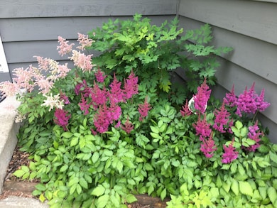 Flower Bed
