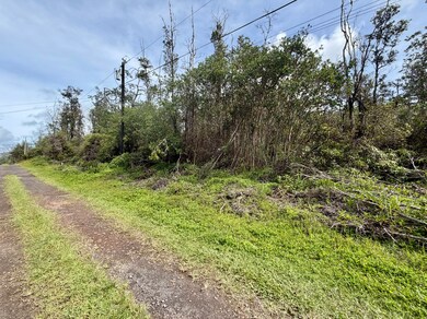 0 Kiele St unit 725401, Kurtistown, HI 96760 - photo 6