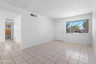 8141 Staghorn Dr, El Paso, TX 79907 - photo 4