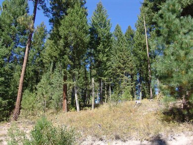 40 Rehn Loop unit 4, Cascade, ID 83611 - photo 5