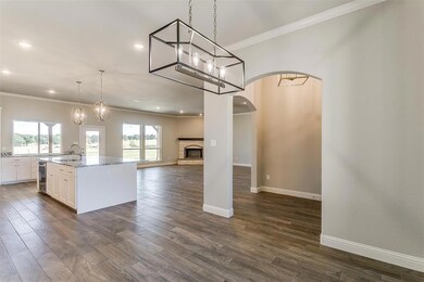 1032 Henry Way, Springtown, TX 76082 - photo 7