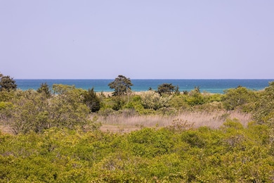 View from deck