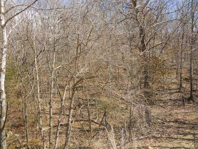 0 Stout Mountain Rd unit 729094, Winslow, AR 72959 - photo 2