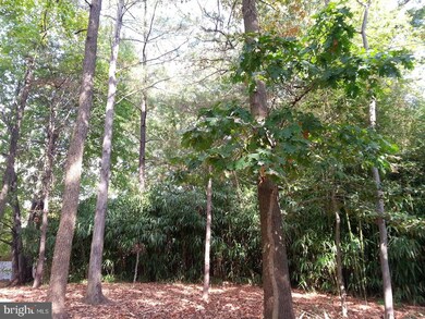 4810 Bayonne Ave, Baltimore, MD 21206 - photo 7