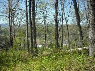 131 Timber Ridge Cir unit LOT 8, Leicester, NC 28748 - photo 4