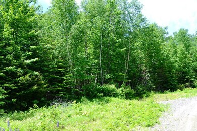0 Ermine Rd unit 1421547, Sandy River Plantation, ME 04970 - photo 4