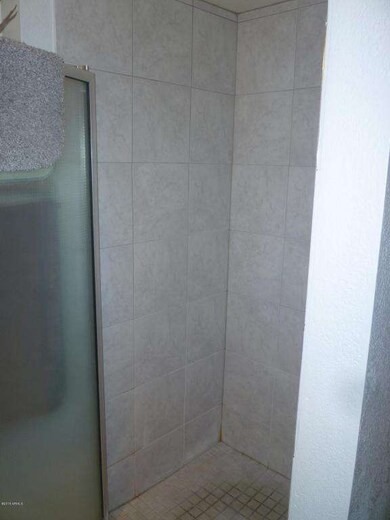 Master Shower Tile