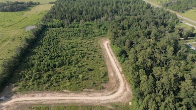 TBD Hwy 171 Hwy, Longville, LA 70652 - photo 3