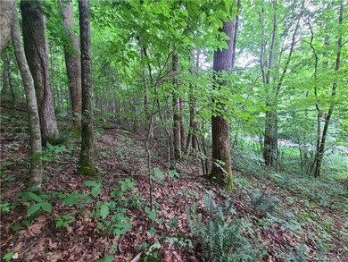 9999 Fox Creek Rd unit 13, Mars Hill, NC 28754 - photo 5