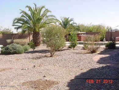 Back yard