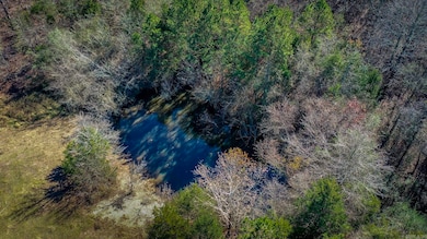 TBD Polk Road 37, Hatfield, AR 71953 - photo 4
