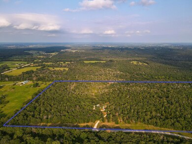 DJI_0398-2 1