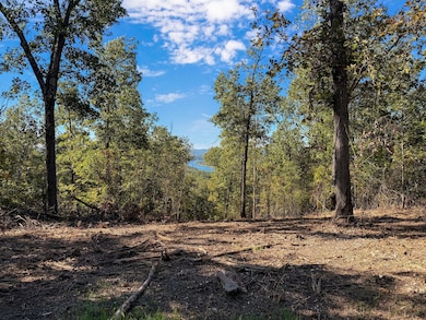 Tract 1 Everest Rd, Ruth A Township, MO 65656 - photo 4