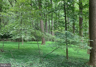 12503 Meadowood Dr, Silver Spring, MD 20904 - photo 5