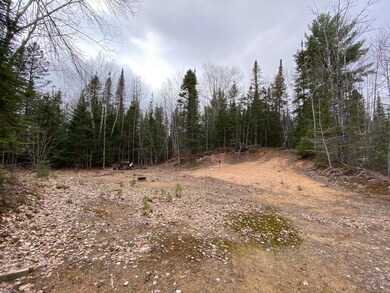 cleared camp site