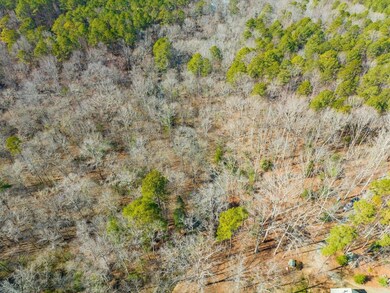 399 Bent Tree, Pittsboro, NC 27312 - photo 3