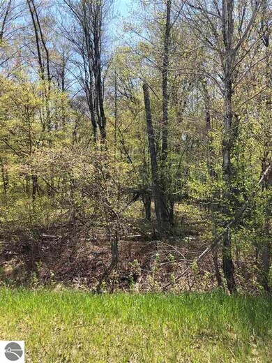 0 Rhodes Rd, Sherman Township, MI 48748 - photo 5