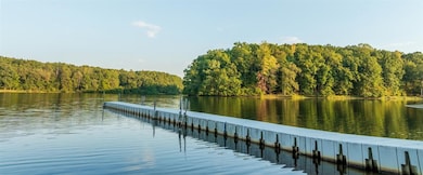 1880 Sandy Springs Rd, Middleton, TN 38052 - photo 4