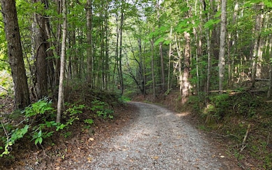 LOT 8 Murphy Ln, Mineral Bluff, GA 30559 - photo 7