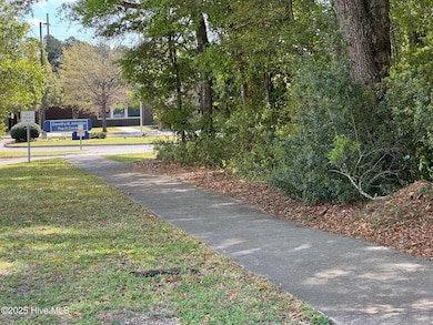 1006 Mcrae St, Wilmington, NC 28401 - photo 3