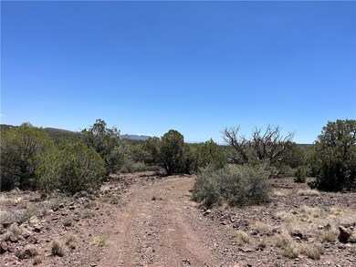 Driveway to second, more-private, campsite