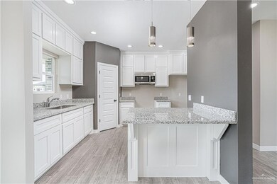 805 Dove St, Alamo, TX 78516 - photo 4