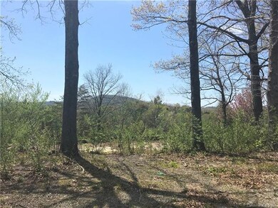 00 Chapman Dr, Hendersonville, NC 28792 - photo 5