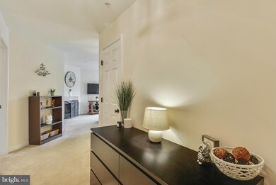 8807 Stone Ridge Cir unit T-2, Pikesville, MD 21208 - photo 3