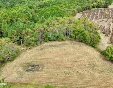 Lot 1 Joe Collins Rd, Lillington, NC 27546 - photo 3