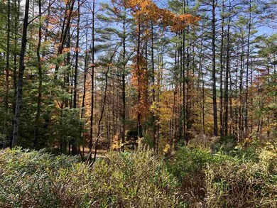 64 Beaver Pond Rd, Lyman, NH 03585 - photo 6