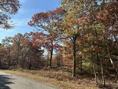 0 Bridle Path Rd, Vineyard Haven, MA 02568 - photo 5