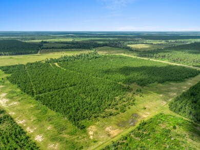5-web-or-mls-DJI_0935