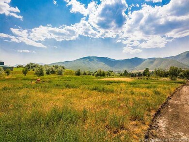 99 W Farm Springs Rd, Midway, UT 84049 - photo 4