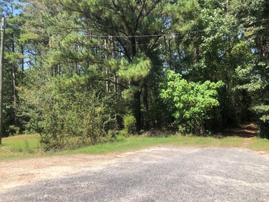 115 Clearview Dr, Sylvester, GA 31791 - photo 6