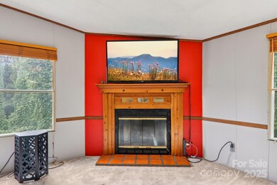 868 Hutch Mountain Rd, Fletcher, NC 28732 - photo 7