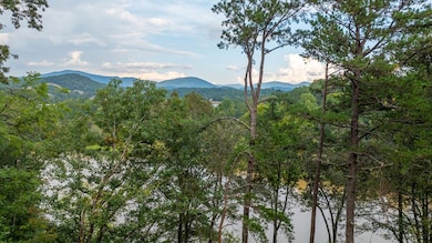 169 Cszonka Rd, Franklin, NC 28734 - photo 6