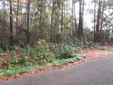 0 Williams Rd, Slidell, LA 70460 - photo 2