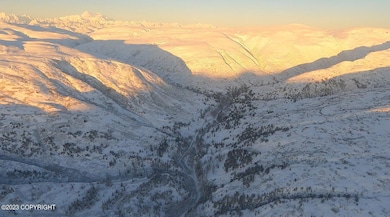 000 McWilliams-gold Creek Trail, Talkeetna, AK 99676 - photo 4