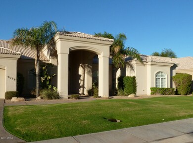Lush Green Grass