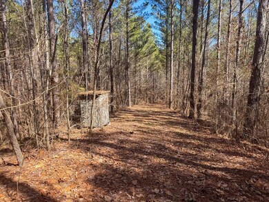 0 Bud Thompson Rd, West Point, MS 39773 - photo 6