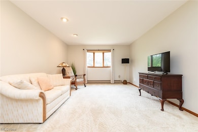 33 Eggleston Rd, Aurora, OH 44202 - photo 6