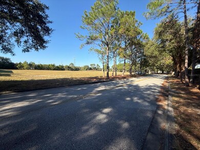0 Forest Rd, Spring Hill, FL 34606 - photo 2