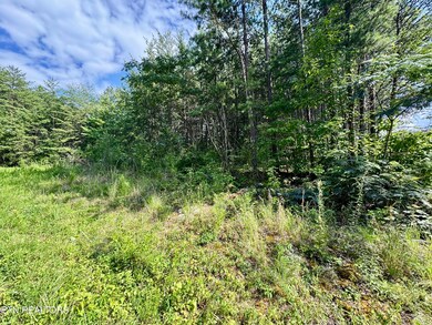 0 Sassafras Trail, Sevierville, TN 37876 - photo 3
