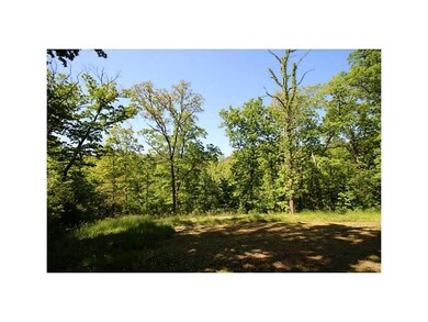 9 Morris Ln, Bella Vista, AR 72715 - photo 6