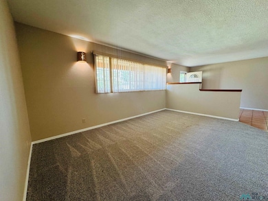 1421 N Country Club Cir, Carlsbad, NM 88220 - photo 3